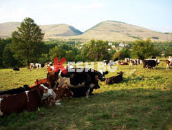 ПРОДАВАМ КЪЩА - ПАМЕТНИК НА КУЛТУРАТА