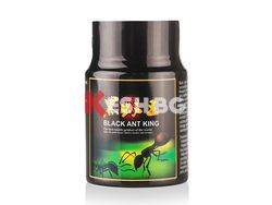 black ant/черна мравка