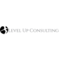 Level Up Consulting