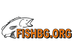 Риболовен магазин Fishbg.org