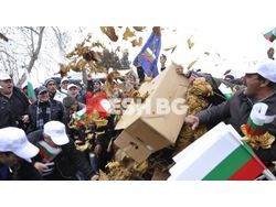 Тютюнопроизводители от Гоцеделчевско излизат на протести 