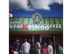 Америка обича Dumb Starbucks